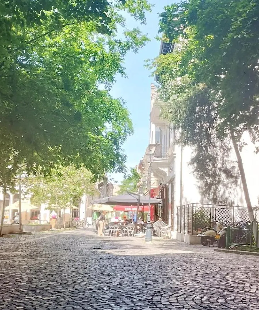 Enchanting Retreat - Historic Old Town - Pet-Friendly Haven - Steps From Unirii Appartamento Bucarest